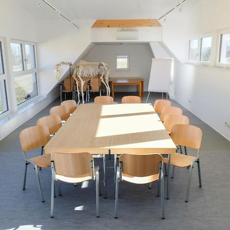 Equiliber Reitkunstzentrum Burgenland Wulkaprodersdorf المظهر الخارجي الصورة